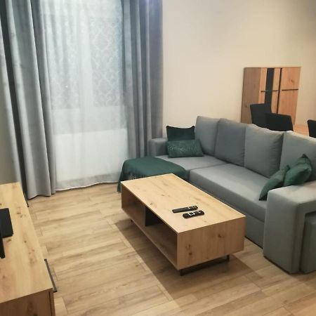 Homely Apartment Zielona Góra Exteriör bild